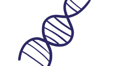 Custom antibody production