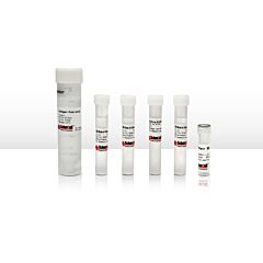 3D Collagen I Matrix Kit 