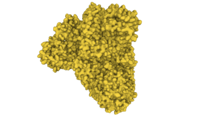 pPACK-SPIKE™ P1 Variant Spike Protein Lentivector Packaging Mix