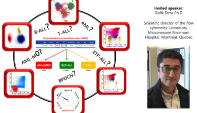 Impact of Standardized Flow Cytometry Protocols on the Diagnostic Accuracy of Acute Leukemias