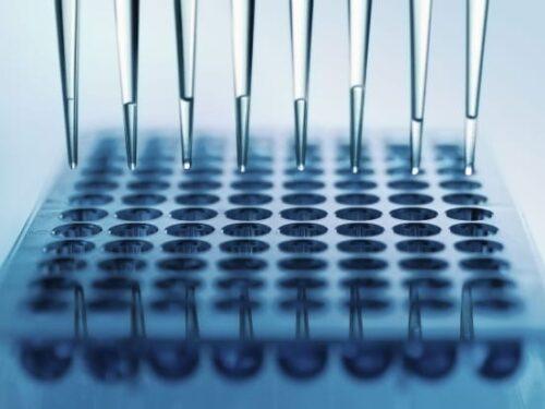 Kits and assays Amsbio