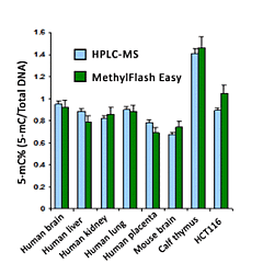 MethylFlash Global DNA Methylation ELISA Easy kit 