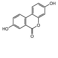 Urolithin A Mitophagy inducer