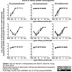 Baby Rabbit Complement 