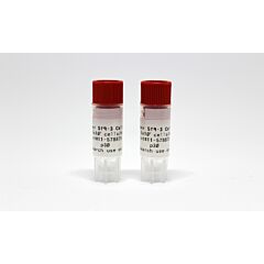 superSf9 3 insect cells 