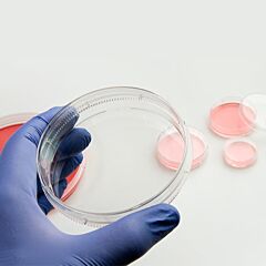 RpRSV-ch Reagent set 960 