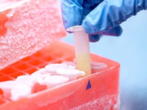 Grow and storage container