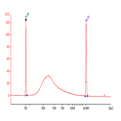 EpiNext 5-mC RNA Bisulfite-Seq Easy Kit (Illumina) 
