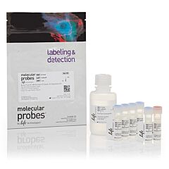 AF488 Annexin kit 250 Assay 