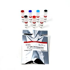 CF510 Succinimidyl Ester 