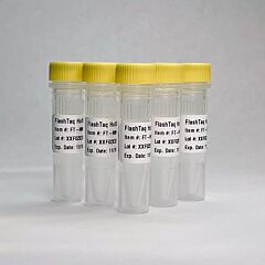 FlashTaq HotStart 2X MasterMix (250 reactions) 