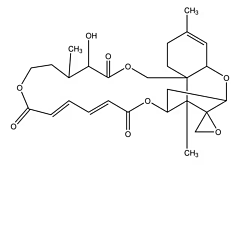Verrucarin A Modulates Amyloid-beta production in Alzheimer’s neurons
