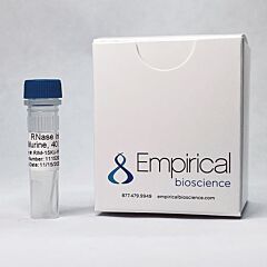 Rnase Inhibitor, Murine, 40U/uL 