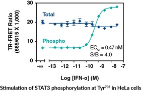 Stem Cell Research Tools from Cayman Chemical