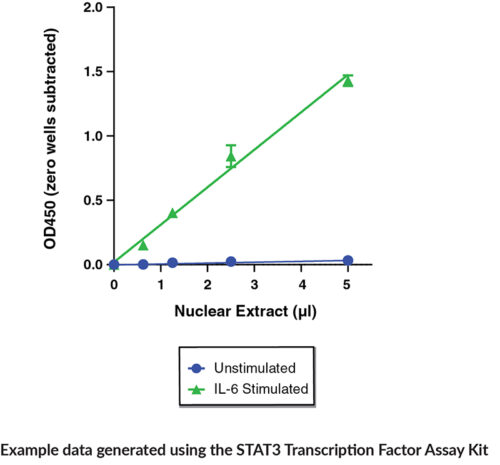 STAT3 Transcription Factor Assay Kit 