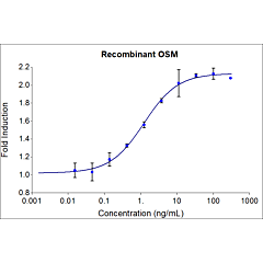 HumanKine recombinant human OSM protein 