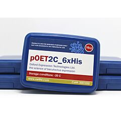 pOET2C 6xHis transfer 