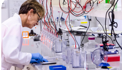 Antibody Validation by Bethyl Laboratories