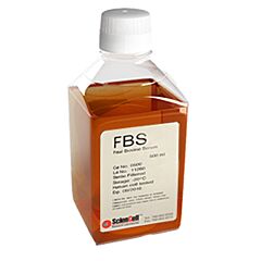 Fetal Bovine Serum 