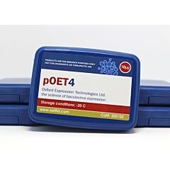 pOET4 transfer plasmid 