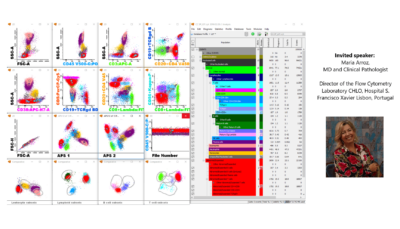 Why changing from manual to automated analysis of the LST tube?