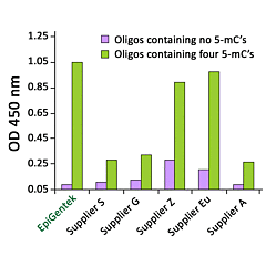 5-Methylcytosine (5-mC) Monoclonal Antibody [33D3] 