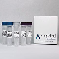 ActiSCRIPT Reverse Transcriptase Kit, 400 Reactions 