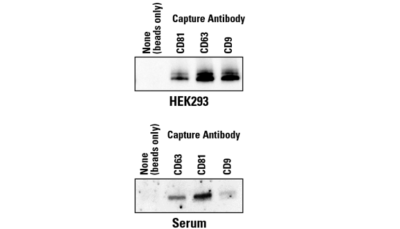 New product: Exo-Flow 2.0 EV Analysis Kits!