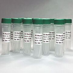 6X MeanGreen Loading Dye (4x1ml) 