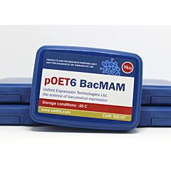 pOET6 BacMAM transfer plasmid 