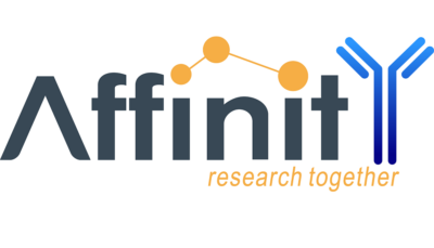 Phospho-specific antibodies