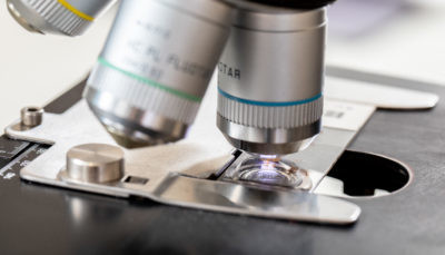 Lymphomas and Leukemias