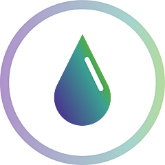Human Hodgkin's lymphoma - Frozen Serum 