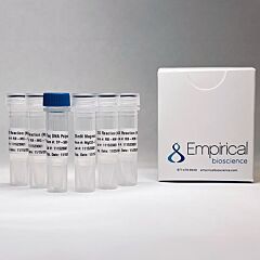 Taq DNA Polymerase Kit (500 Units) 