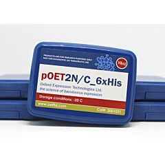 pOET2N 6xHis transfer 