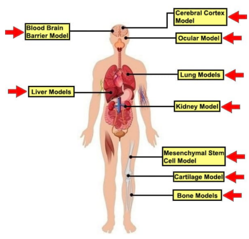 3D Cell Culture Spheroid Kits