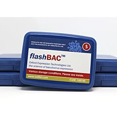 FlashBAC 