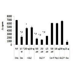 4C5, Anti-DDK monoclonal Antibody, Biotin 