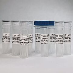 T4 DNA Ligase- High Concentration (240,000Units) 