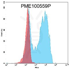 PE-conjugated Recombinant human GPRC5D protein with C-terminal mouse Fc tag 