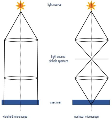 Light paths in microscopy