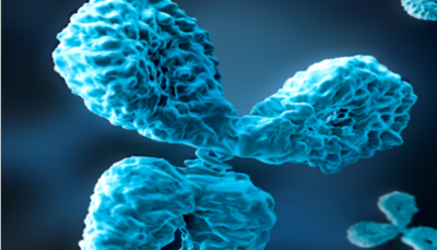 Free SARS-CoV-2 Focused Sample-Size Antibodies