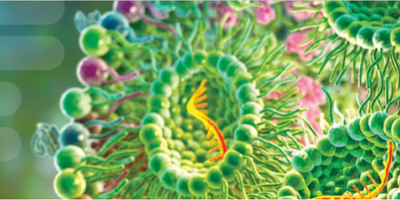 Lipids for Forming Lipid Nanoparticles (LNPs)