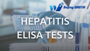 What Are the Different Types of Hepatitis Viruses and Their Impacts?