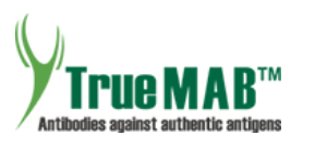 TrueMAB™ Antibodies of OriGene