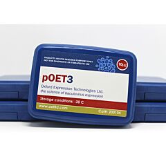 pOET3 transfer plasmid 