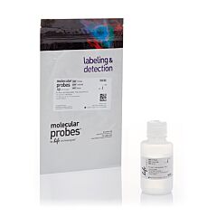 5X Annexin Binding Buffer 