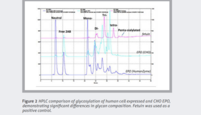 Authentic human glycosylation Authentic human glycosylation