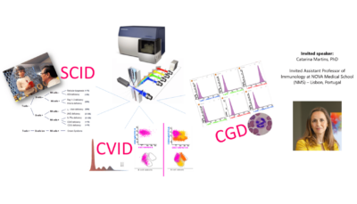 The role of Flow Cytometry in the laboratory approach of Primary Immunodeficiency