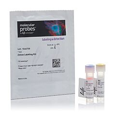 Zenon R-Phycoerythrin Human IGF 